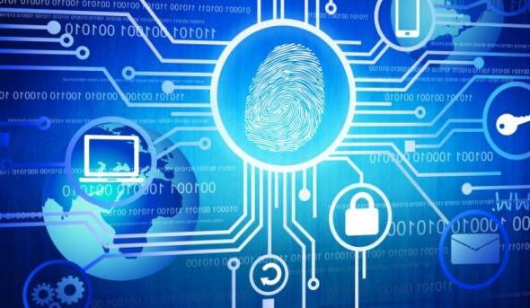 Cybersecurity Fingerprint Stock